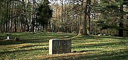 Stepp Cemetery Entrance